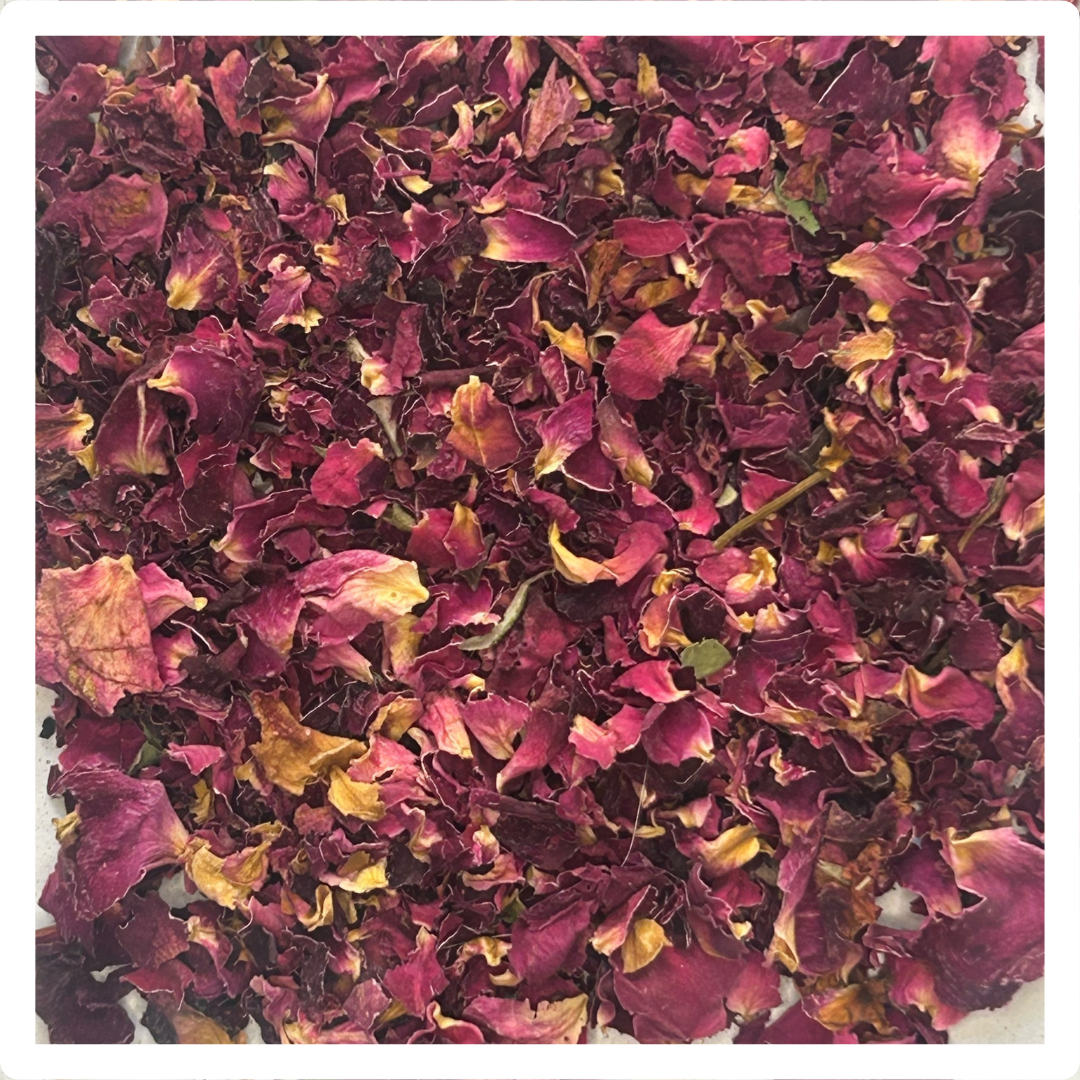 Dried Rose ONLY